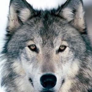 Meet your Posher, Val